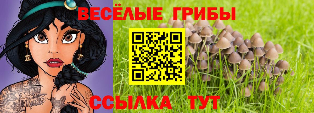 Галлюциногенные грибы Psilocybe  Вход с VPN  Нефтекумск 