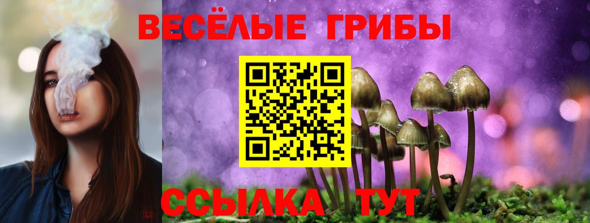 Галлюциногенные грибы GOLDEN TEACHER Нефтекумск